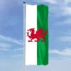 Hochformats Fahne Wales -Bester Flaggen Geschäft hochformats fahne wales