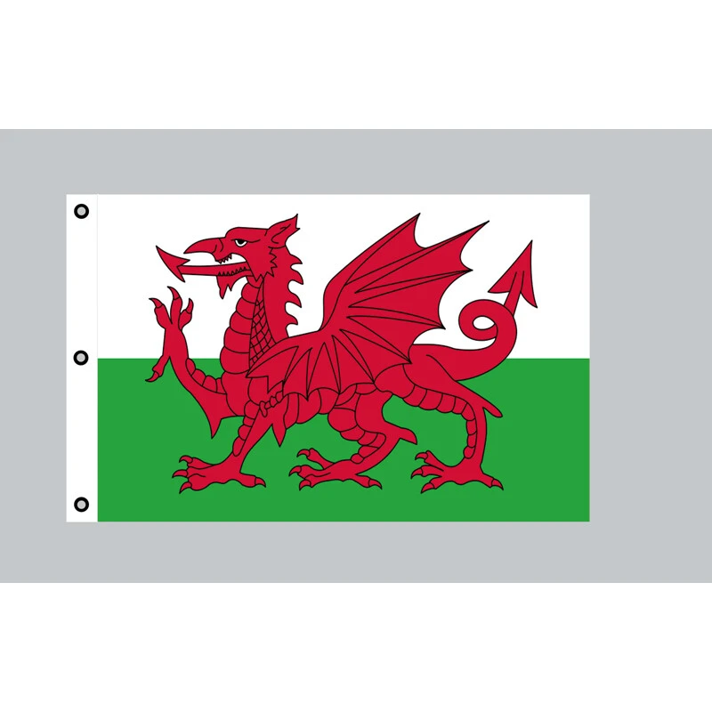 Riesen-Flagge: Wales 150cm X 250cm 3 Riesen-Flagge: Wales 150cm X 250cm